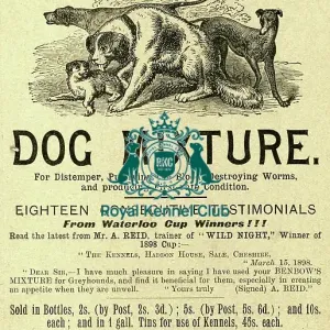 Benbows dog mixture (tonic) Benbows dog mixture (tonic)