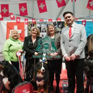 The Bernese Mountain Dog Club being awarded the Best Discover Dogs Stand for the Working Group at Crufts on Sunday 10th March 2024 by Alison Scutcher, Nicky Ackerley-Kemp (Directors at The Kennel Club) and Ricky Furnell from Royal Canin The Bernese Mountain Dog Club being awarded the Best Discover Dogs Stand for the Working Group at Crufts on Sunday 10th March 2024 by Alison Scutcher, Nicky Ackerley-Kemp (Directors at The Kennel Club) and Ricky Furnell from Royal Canin