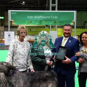 Best breed club stand, Hound group, Irish Wolfhound Club Winners