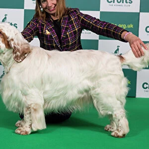 Best of Breed SPANIEL (CLUMBER) Crufts 2023