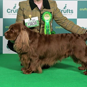 Best of Breed SPANIEL (SUSSEX) Crufts 2022