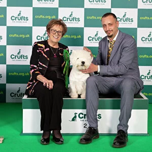Best of breed West Highland White Terrier Crufts 2023