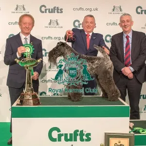 Best in Group Hound 1st Winner Crufts 2020