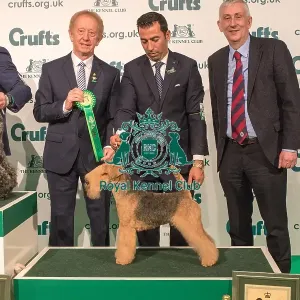 Best in Group Terrier 2nd Place Crufts 2020