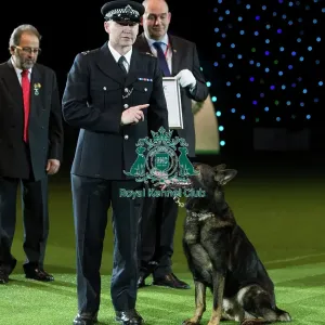 Best in Show, Crufts 2016 Best in Show, Crufts 2016