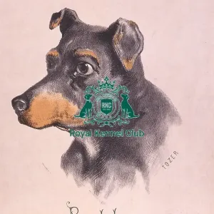 Black and Tan Polka