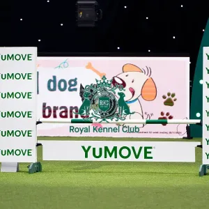 Border Collie competing in Crufts Singles Intermediate Border Collie competing in Crufts Singles Intermediate