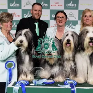 Breeder Rachel Salter with her Bearded Collie winners who was competing today in the Breeders Competiition