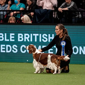 British Vulnerable Breed Competition Crufts 2022