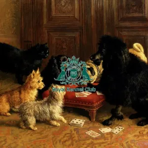The Card Game