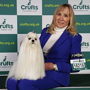 Carol Roberts from Spain with Cooper, a Maltese, which was the Best of Breed winner today (Sunday 12. 03. 23), the last day of Crufts 2023, at the NEC Birmingham