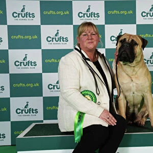 Cathy Latter from Chester with Gwen, a Bullmastiff, which was the Best of Breed winner today (Friday 10. 03. 23), the second day of Crufts 2023, at the NEC Birmingham