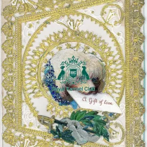 Celia Haddon Collection Celia Haddon Collection