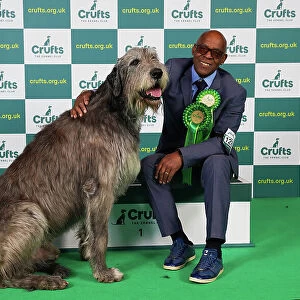 Chris Amoo from Cheshire with Paris, an Irish Wolfhound, which was the Best of Breed winner today (Saturday 11. 03. 23), the third day of Crufts 2023, at the NEC Birmingham