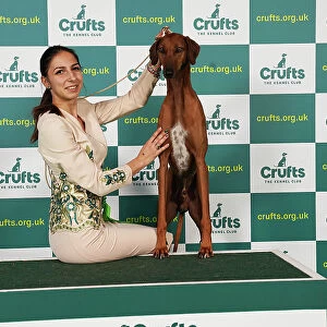 Christina Kostadinova from Romania with Bahir, a Azawakh which was the Best of Breed winner today (Saturday 11. 03. 23), the third day of Crufts 2023, at the NEC Birmingham