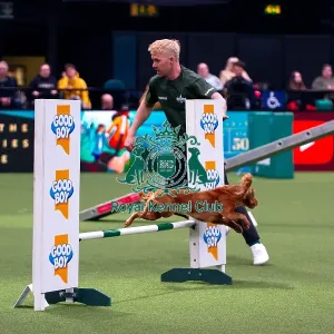 Cocker Spaniel competing in Crufts Singles Medium Cocker Spaniel competing in Crufts Singles Medium