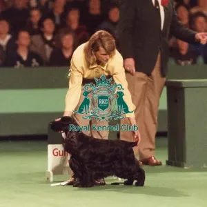 Crufts 1996 Gundog Group Winner Crufts 1996 Gundog Group Winner