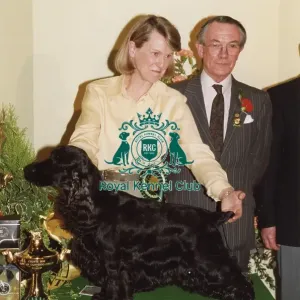 Crufts 1996 Gundog Group Winner Crufts 1996 Gundog Group Winner