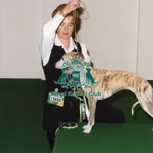 Crufts 1996 Whippet Best of Breed Crufts 1996 Whippet Best of Breed