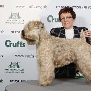 Collections: Crufts 2009