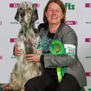 Crufts 2015 Crufts 2015