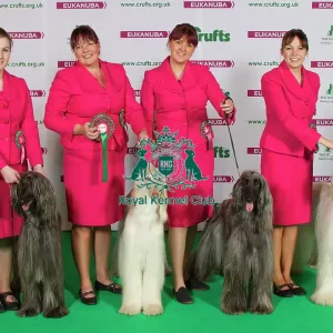 Crufts 2015 Crufts 2015