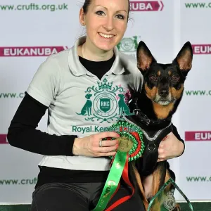 Crufts 2015 Crufts 2015