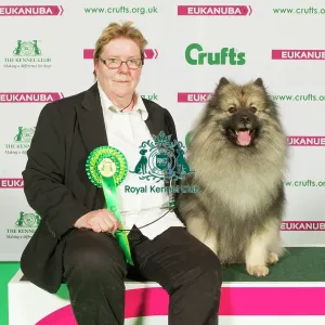 Crufts 2015 Crufts 2015