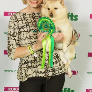 Crufts 2015