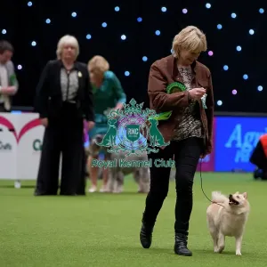 Crufts 2015 Crufts 2015