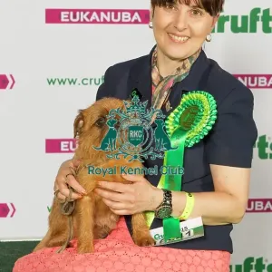 Crufts 2015 Crufts 2015