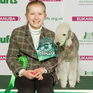 Crufts 2015 Crufts 2015