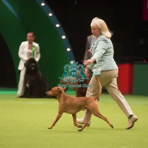 Crufts 2015 Crufts 2015