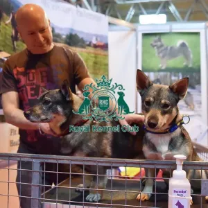 Crufts 2016 Crufts 2016