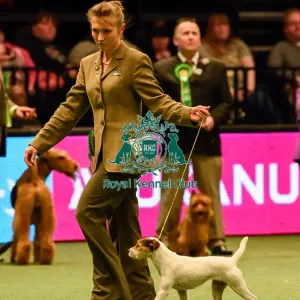 Crufts 2016 Crufts 2016