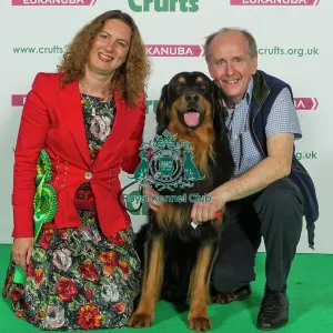 Crufts 2016 Best of Breed Crufts 2016 Best of Breed