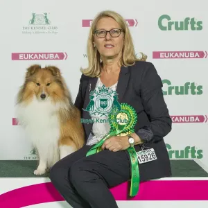 Crufts 2016 Best of Breed Crufts 2016 Best of Breed