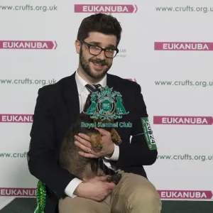 Crufts 2016 Best of Breed Crufts 2016 Best of Breed