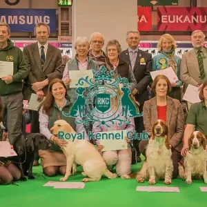 Crufts 2016 Gundog day Crufts 2016 Gundog day