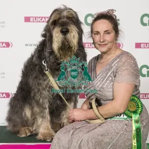 Crufts 2017