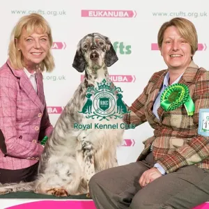 Crufts 2017