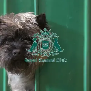 Crufts 2017