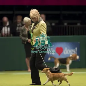 Crufts 2017