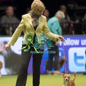 Crufts 2017