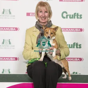 Crufts 2017