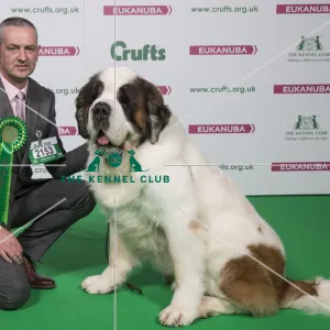 Crufts 2018