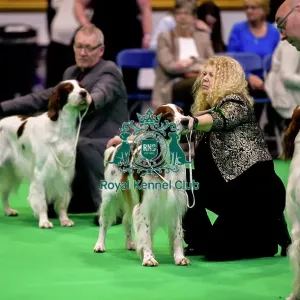 Crufts 2018 Crufts 2018