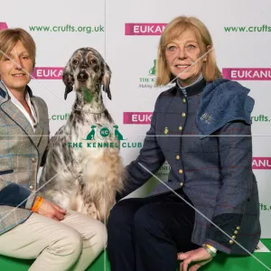 Crufts 2019 - Best of Breed / Gundog