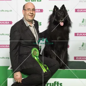 Crufts 2019 - Best of Breed / Pastoral