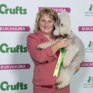 Crufts 2019 - Best of Breed / Terrier